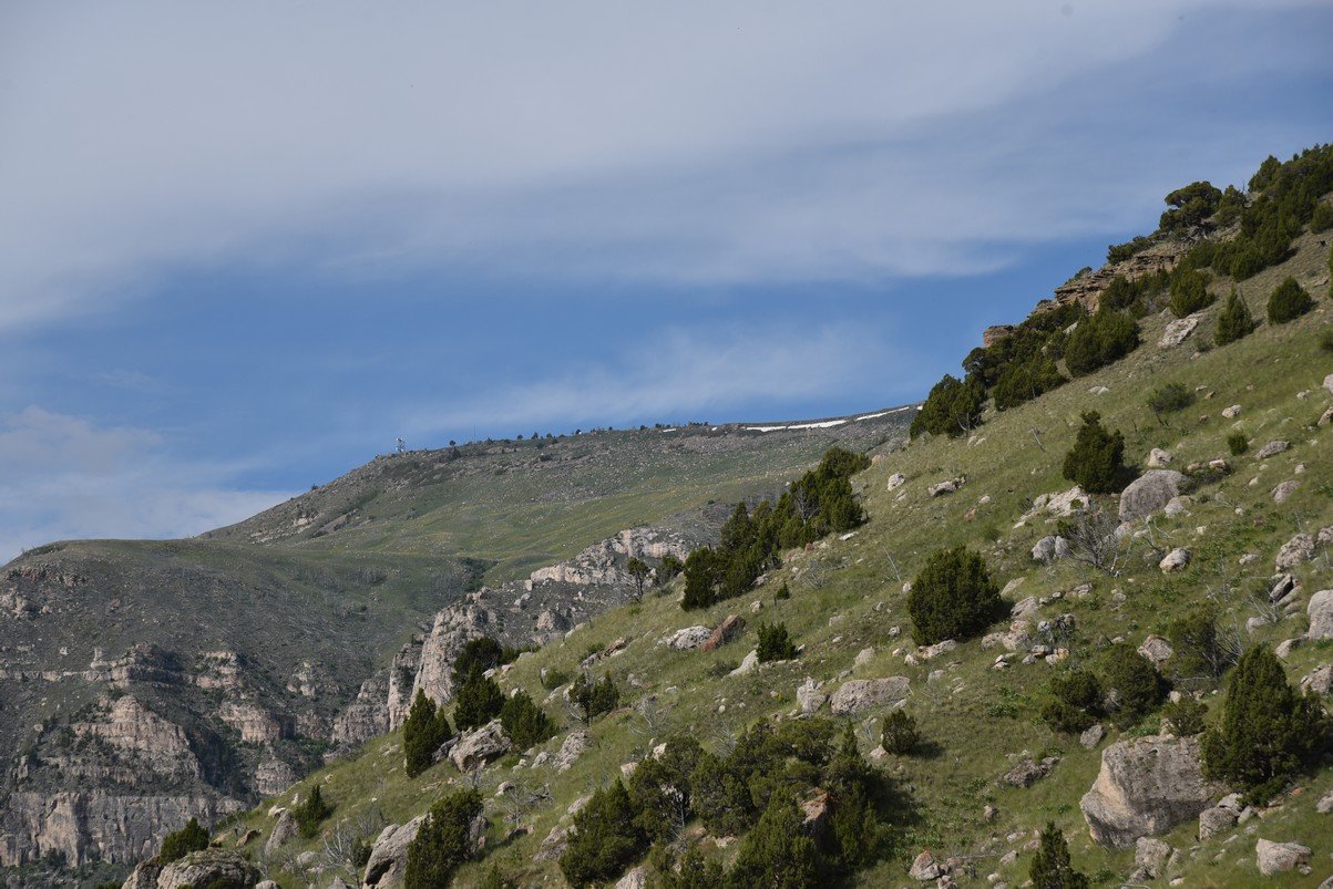 dsc_8414_fs.jpg
