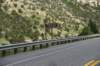 dsc_8455_fs_small.jpg