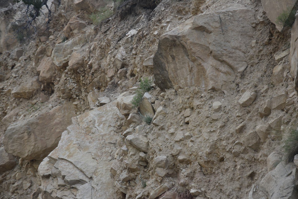dsc_8456_fs.jpg
