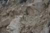 dsc_8456_fs_small.jpg