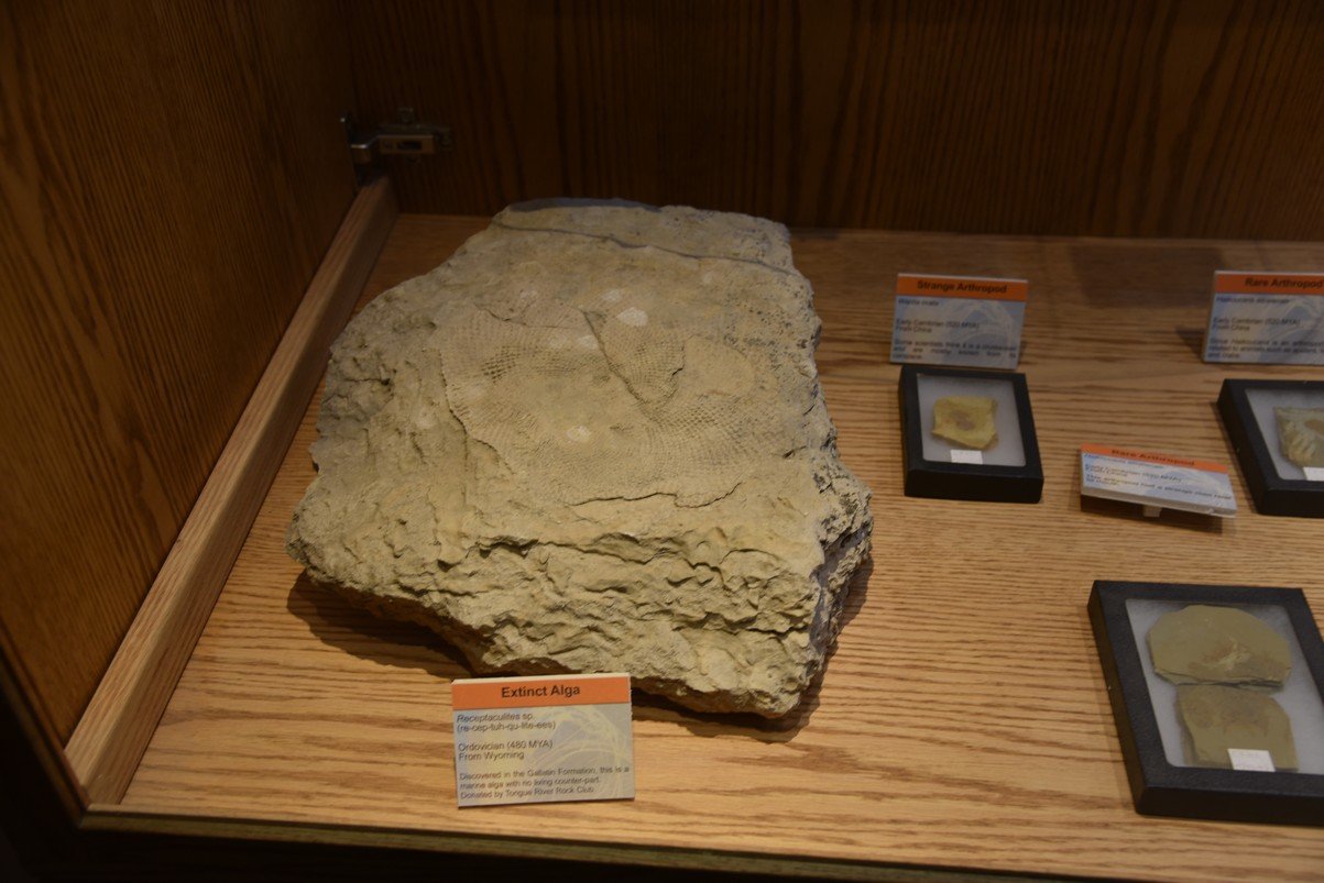 dsc_8469_fs.jpg