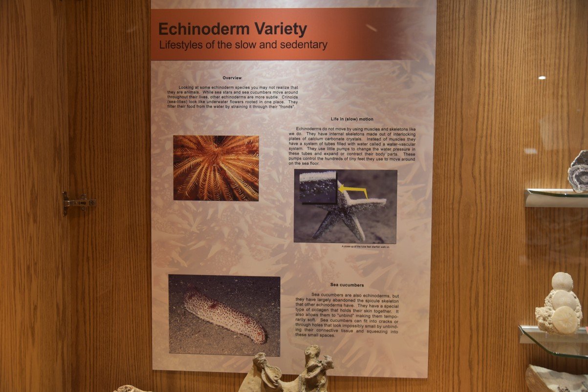 dsc_8495_fs.jpg