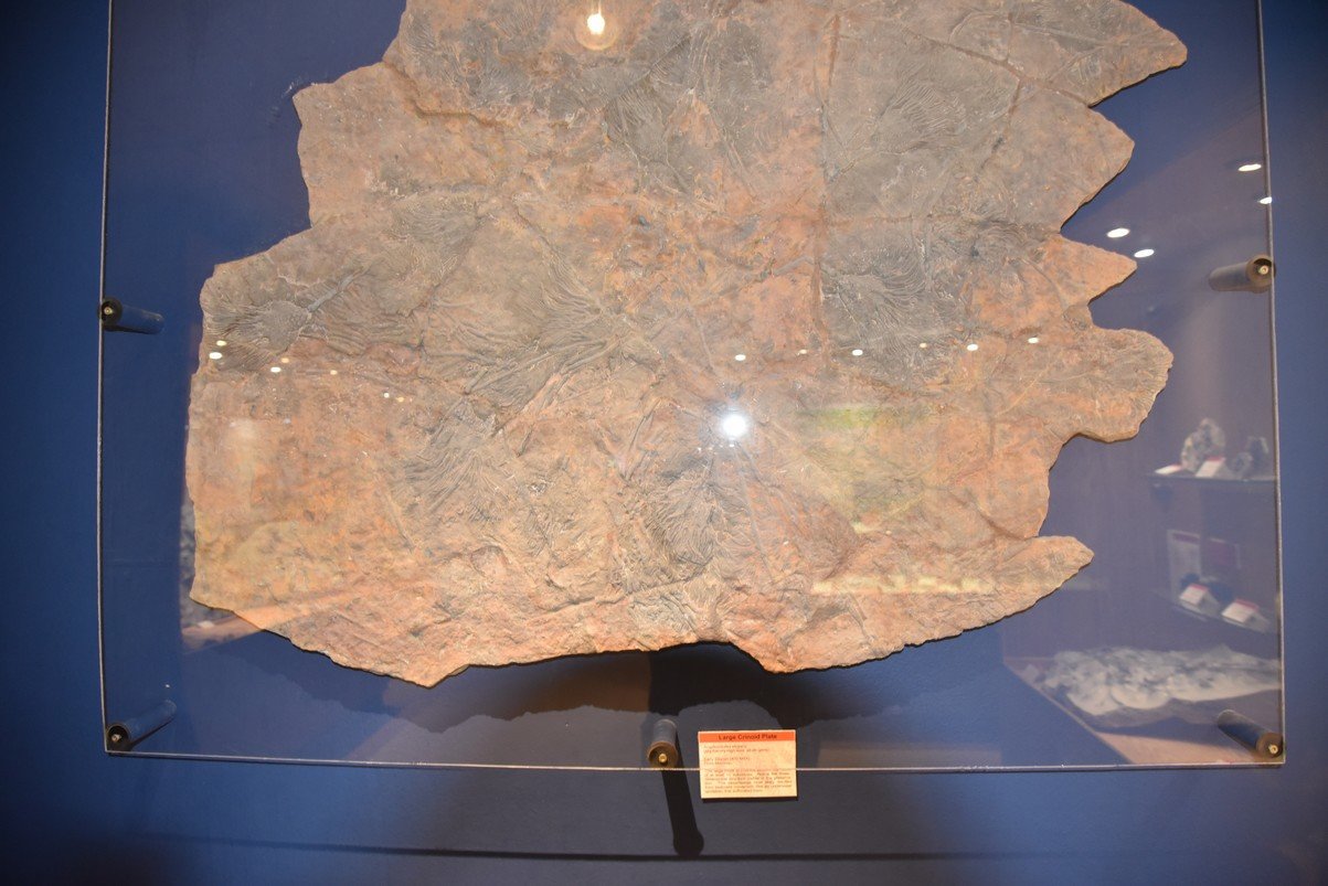 dsc_8499_fs.jpg