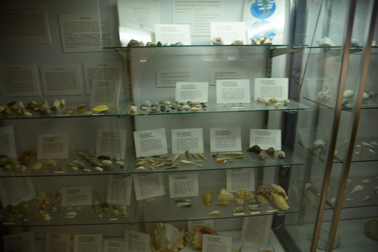 dsc_8512_fs.jpg