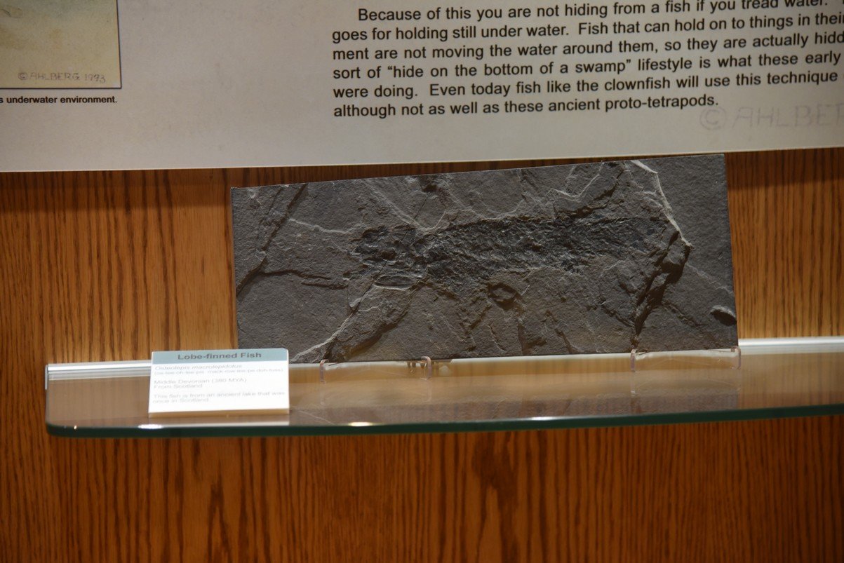 dsc_8526_fs.jpg