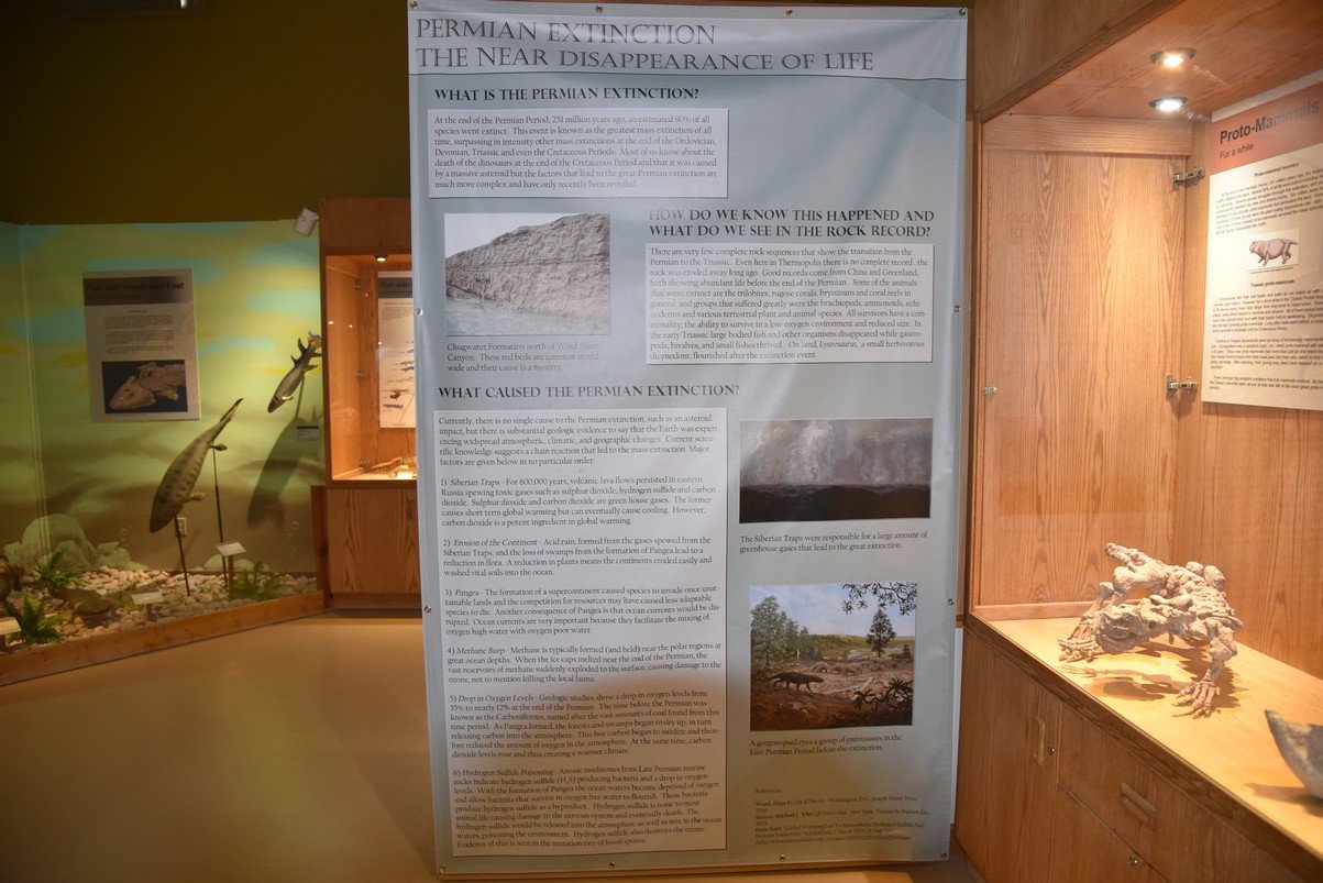 dsc_8534_fs.jpg
