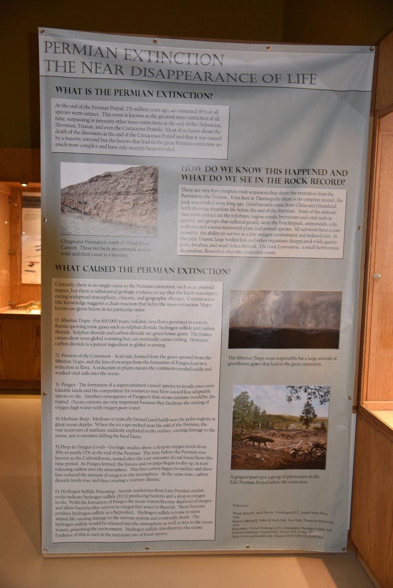 dsc_8535_fs.jpg