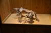 dsc_8537_fs_small.jpg