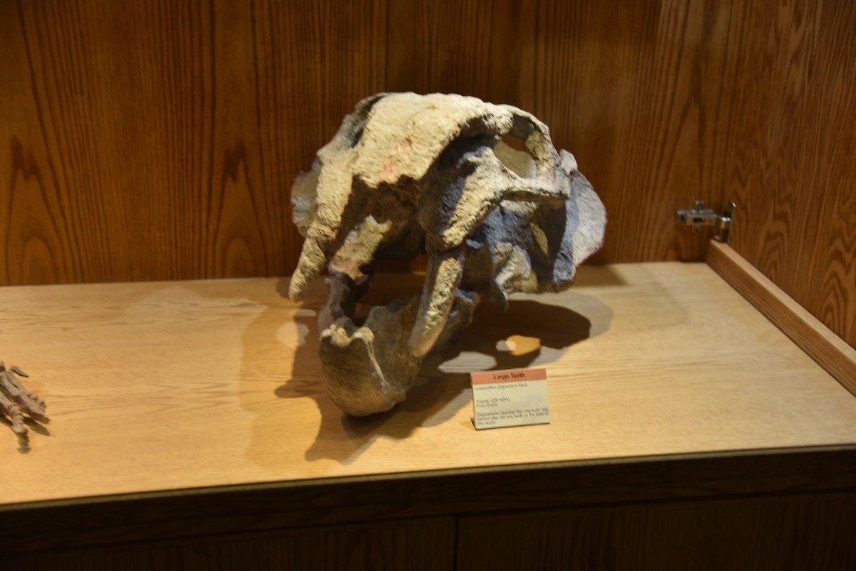 dsc_8538_fs.jpg