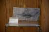 dsc_8543_fs_small.jpg