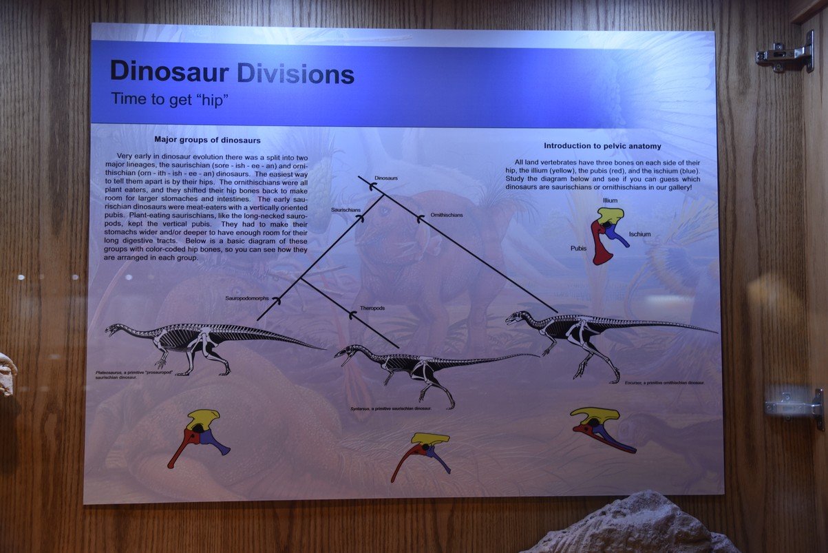 dsc_8558_fs.jpg