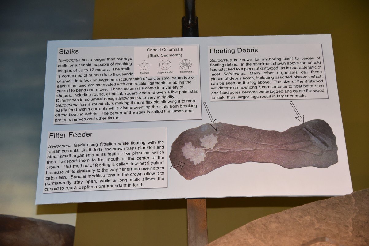 dsc_8588_fs.jpg