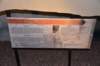 dsc_8589horseshoecrabtrackway_small.jpg