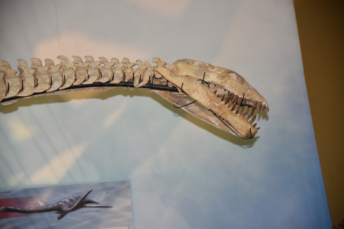 dsc_8622_fs.jpg