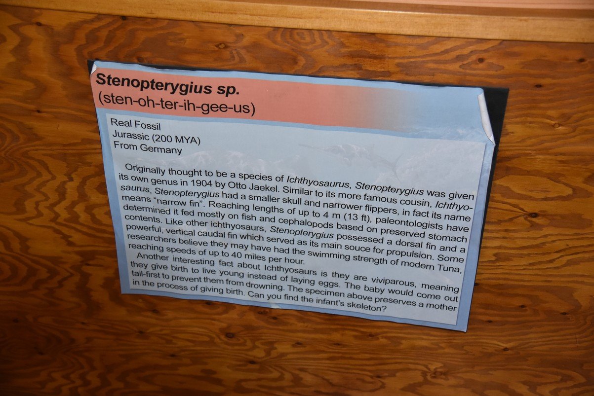 dsc_8639_fs.jpg