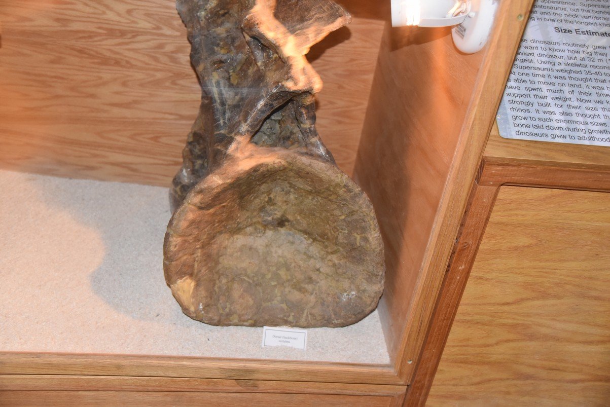 dsc_8656_fs.jpg