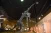 dsc_8671_fs_small.jpg