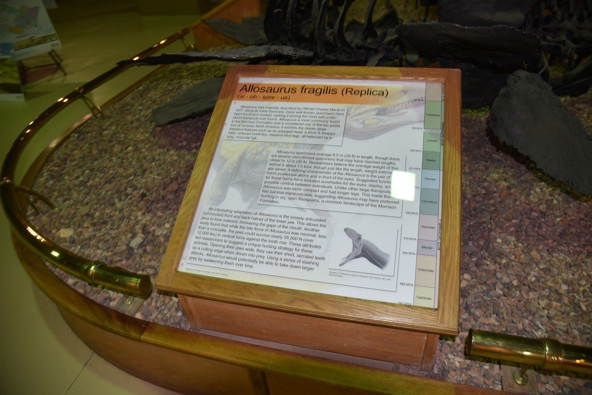 dsc_8676_fs.jpg