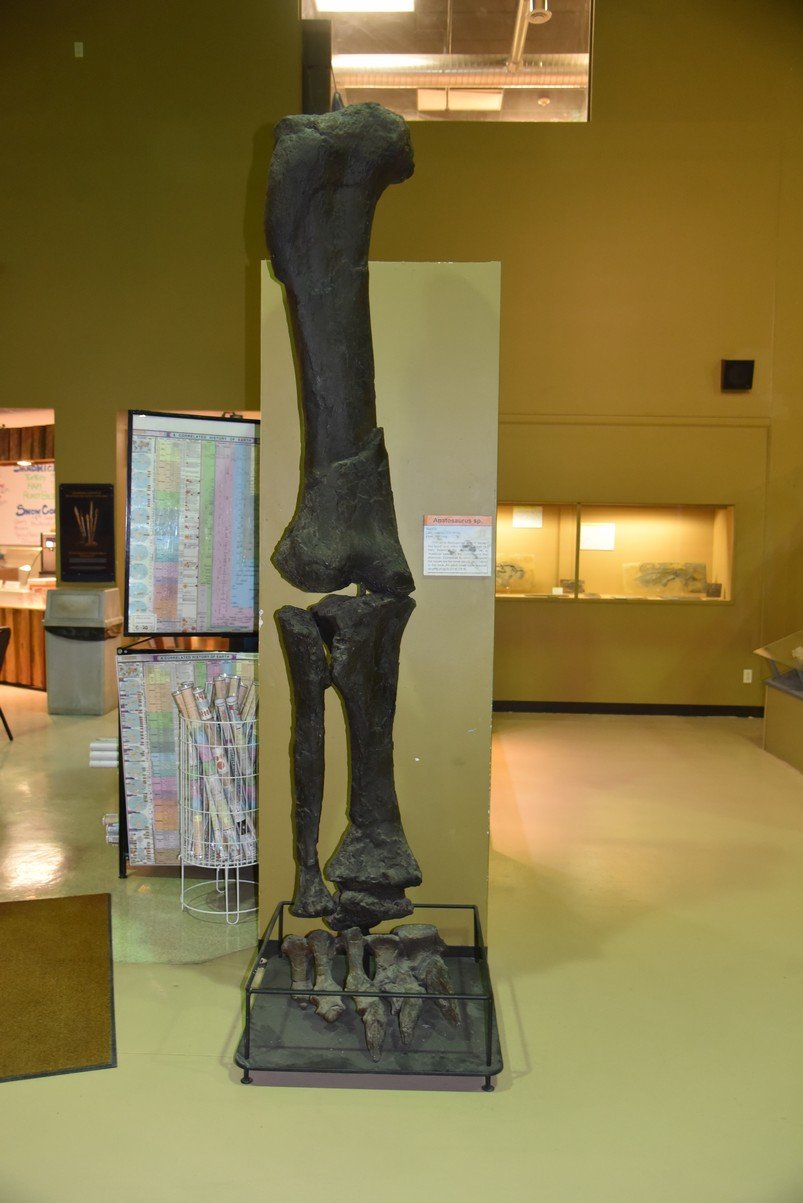 dsc_8684_fs.jpg