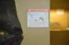 dsc_8685_fs_small.jpg