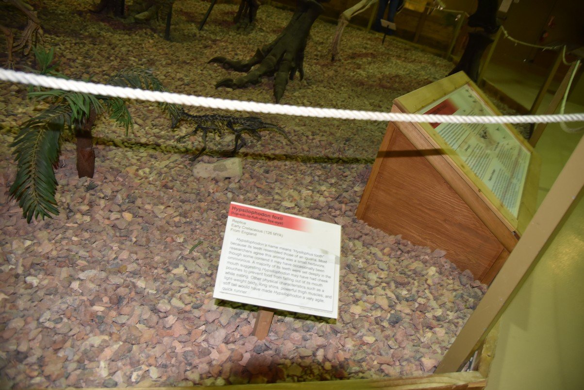 dsc_8688_fs.jpg
