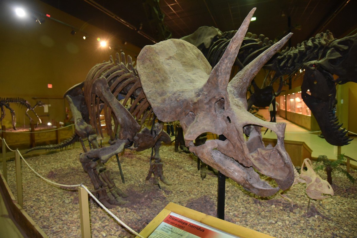 dsc_8694_fs.jpg