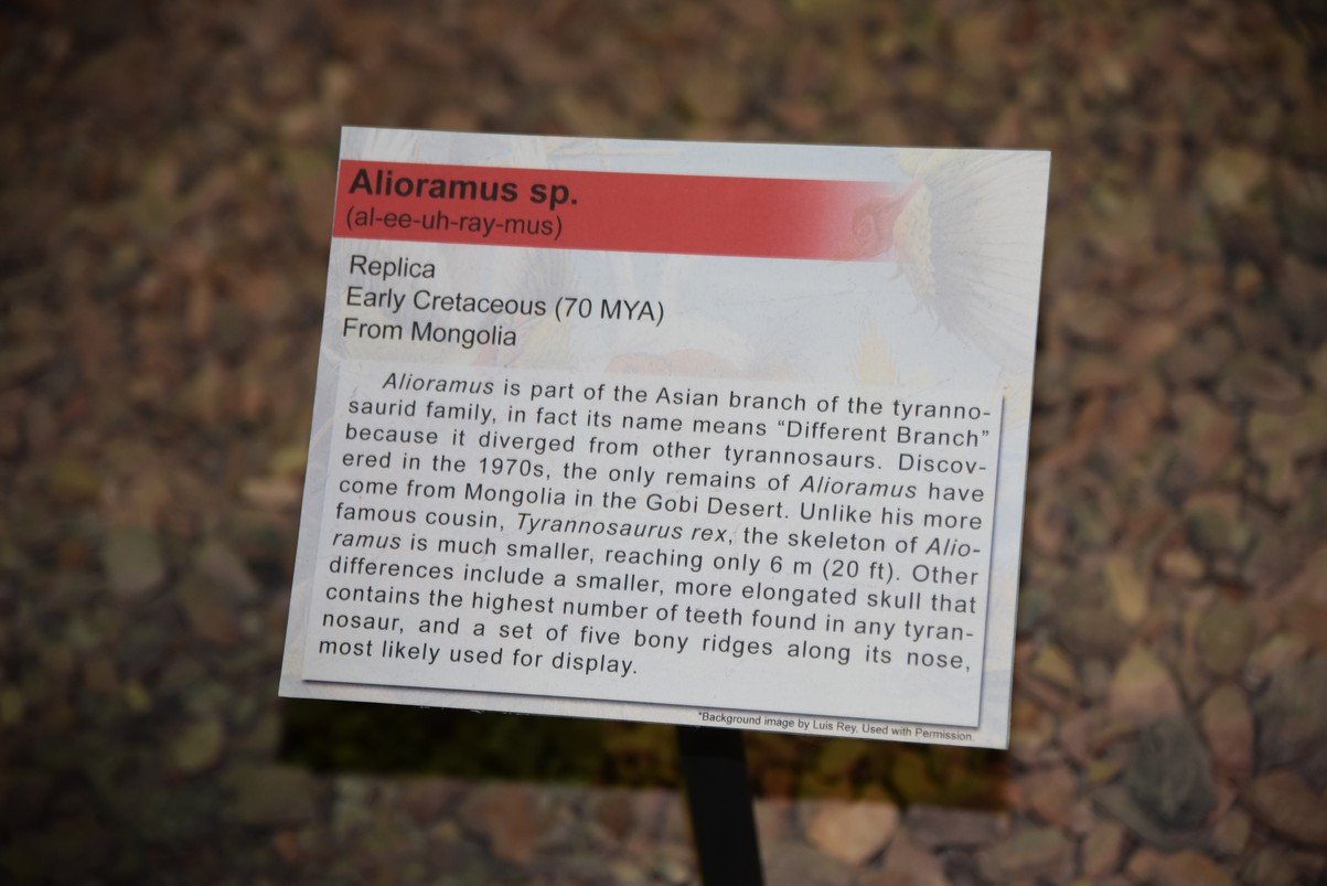 dsc_8700_fs.jpg