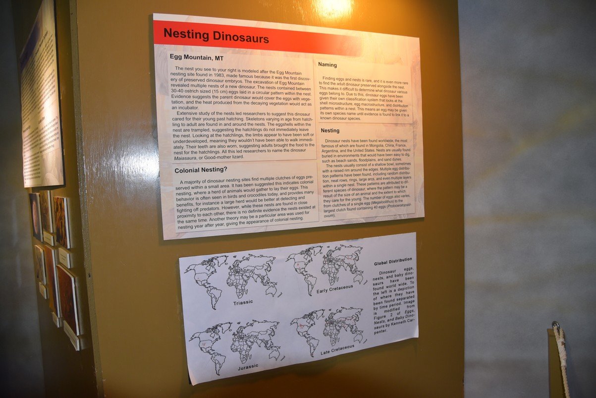 dsc_8715_fs.jpg