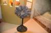 dsc_8716_fs_small.jpg