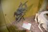 dsc_8731_fs_small.jpg