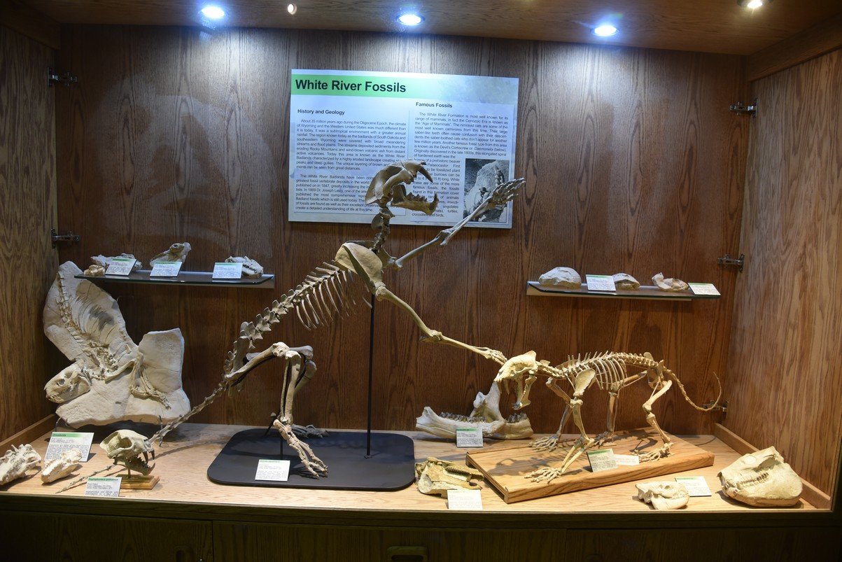 dsc_8743_fs.jpg
