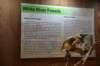 dsc_8744_fs_small.jpg