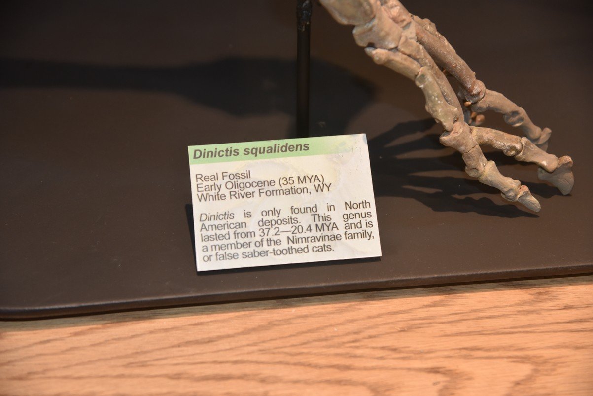 dsc_8747_fs.jpg