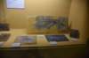 dsc_8750_fs_small.jpg