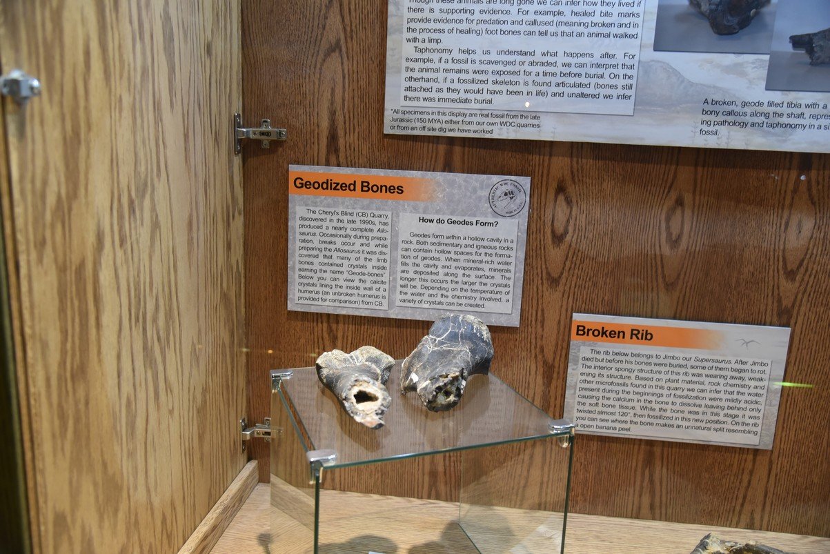 dsc_8771_fs.jpg