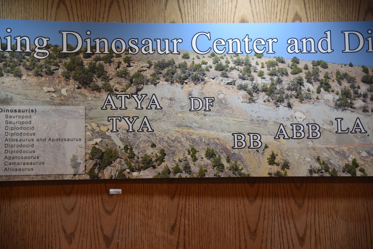 dsc_8784_fs.jpg