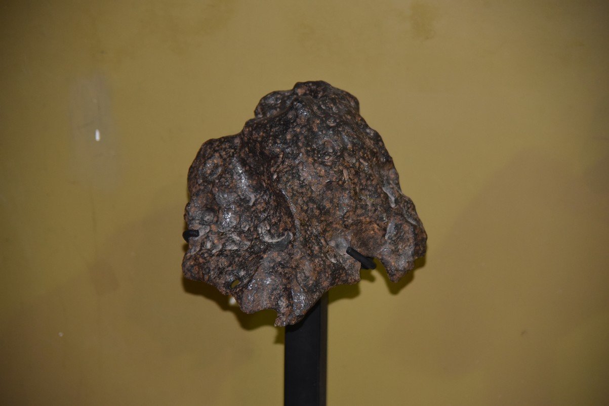 dsc_8801_fs.jpg