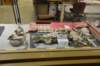 dsc_8807_fs_small.jpg