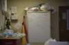 dsc_8808_fs_small.jpg