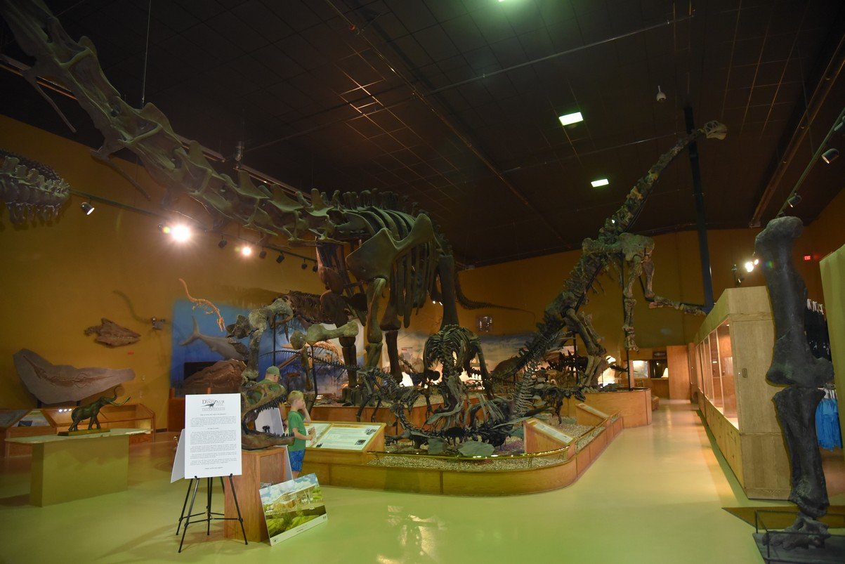 dsc_8810_fs.jpg