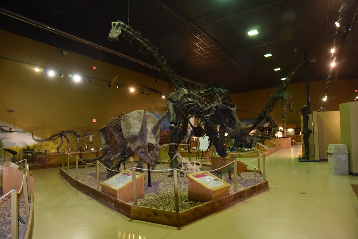 dsc_8812_fs.jpg
