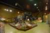 dsc_8812_fs_small.jpg