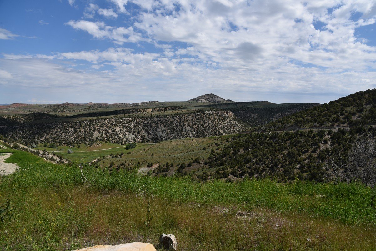 dsc_8844_fs.jpg