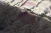dsc_8859_fs_small.jpg