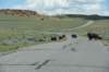 dsc_8913_fs_small.jpg