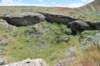 dsc_8952_fs_small.jpg