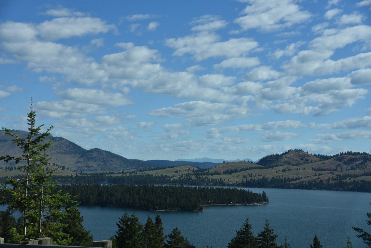 dsc_4080_fs.jpg