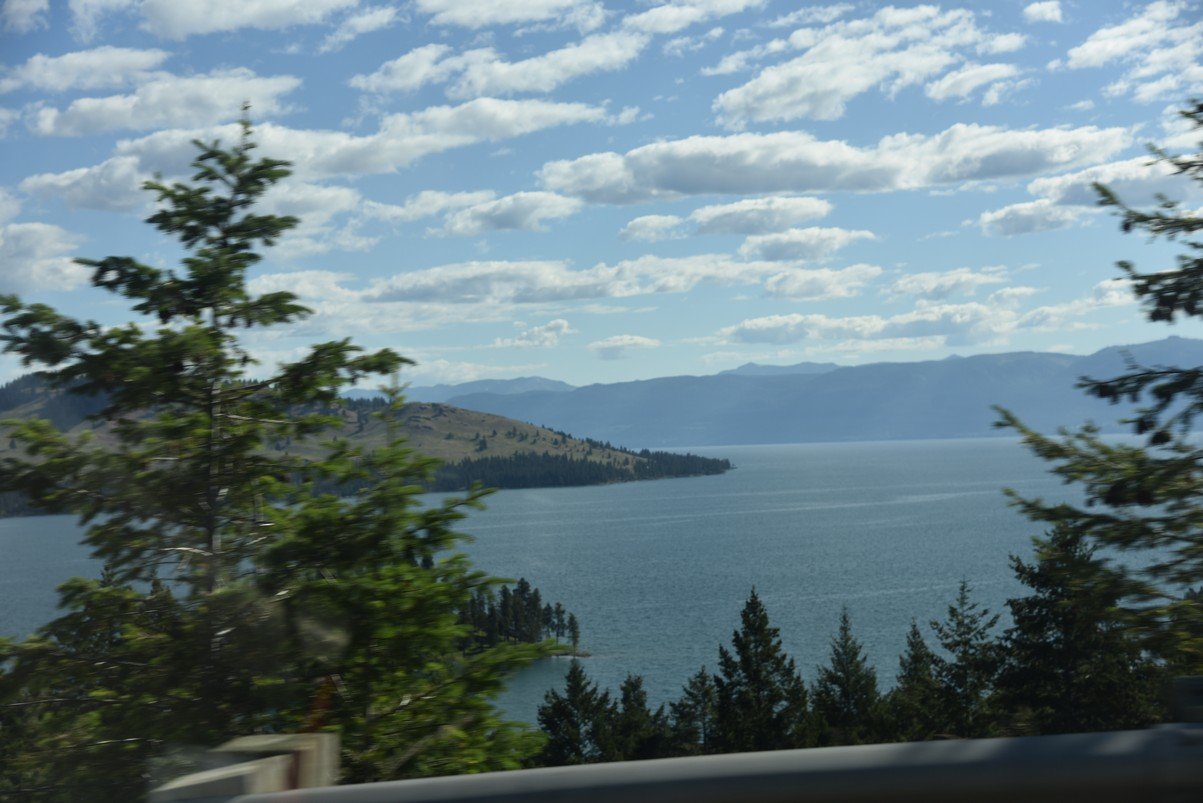 dsc_4083_fs.jpg