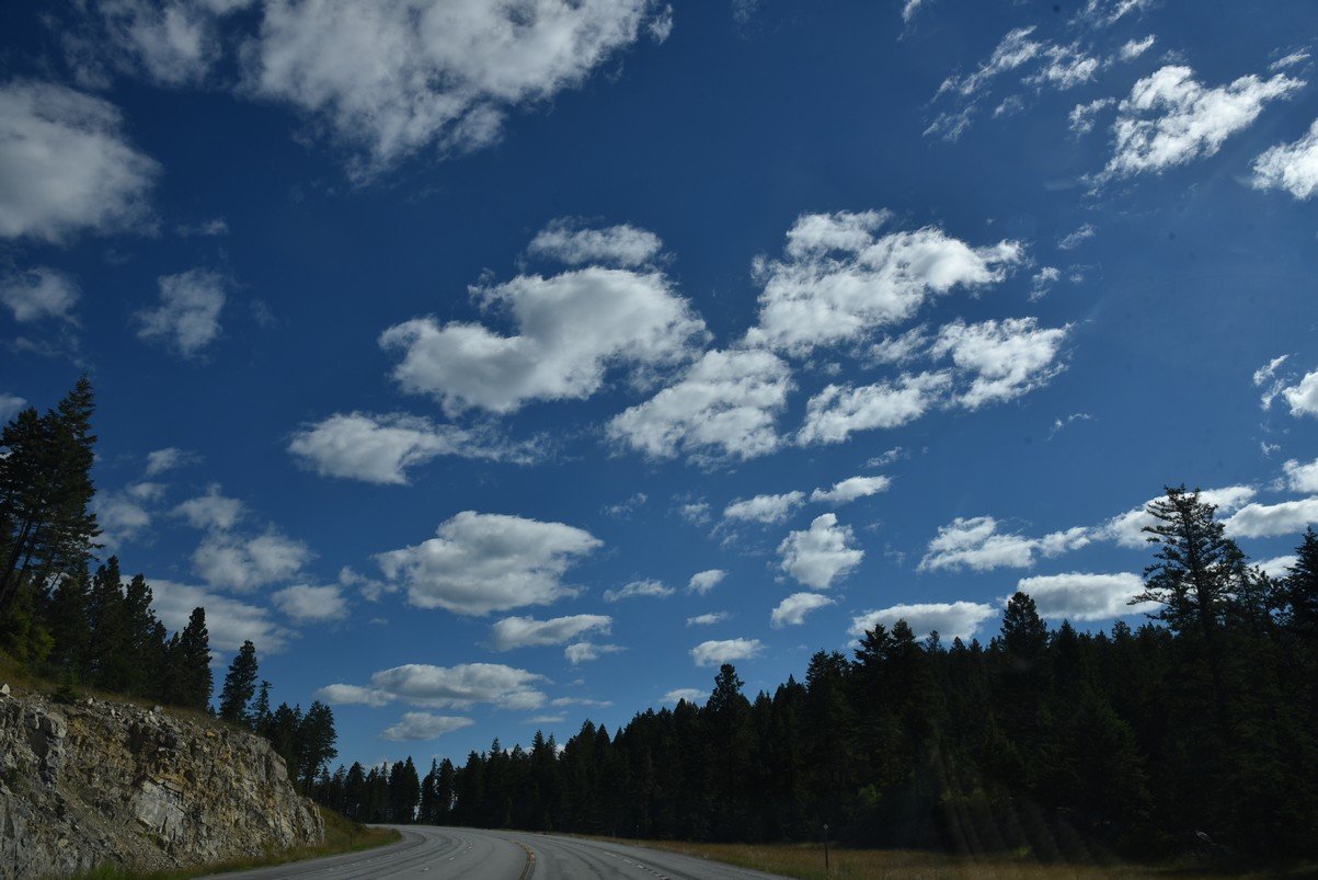 dsc_4132_fs.jpg
