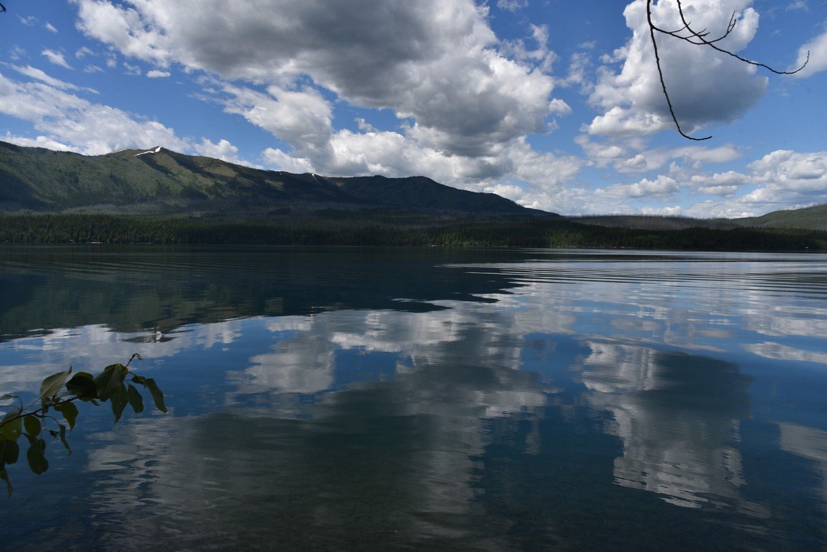 dsc_4231_fs.jpg